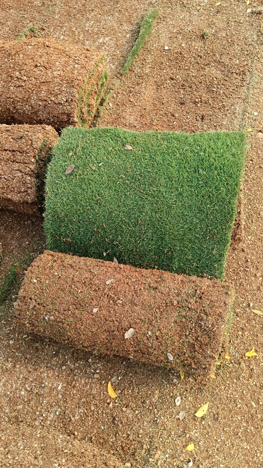 image1
