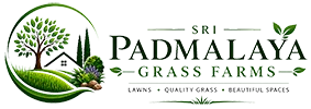 Sri Padmalaya Grass Farms