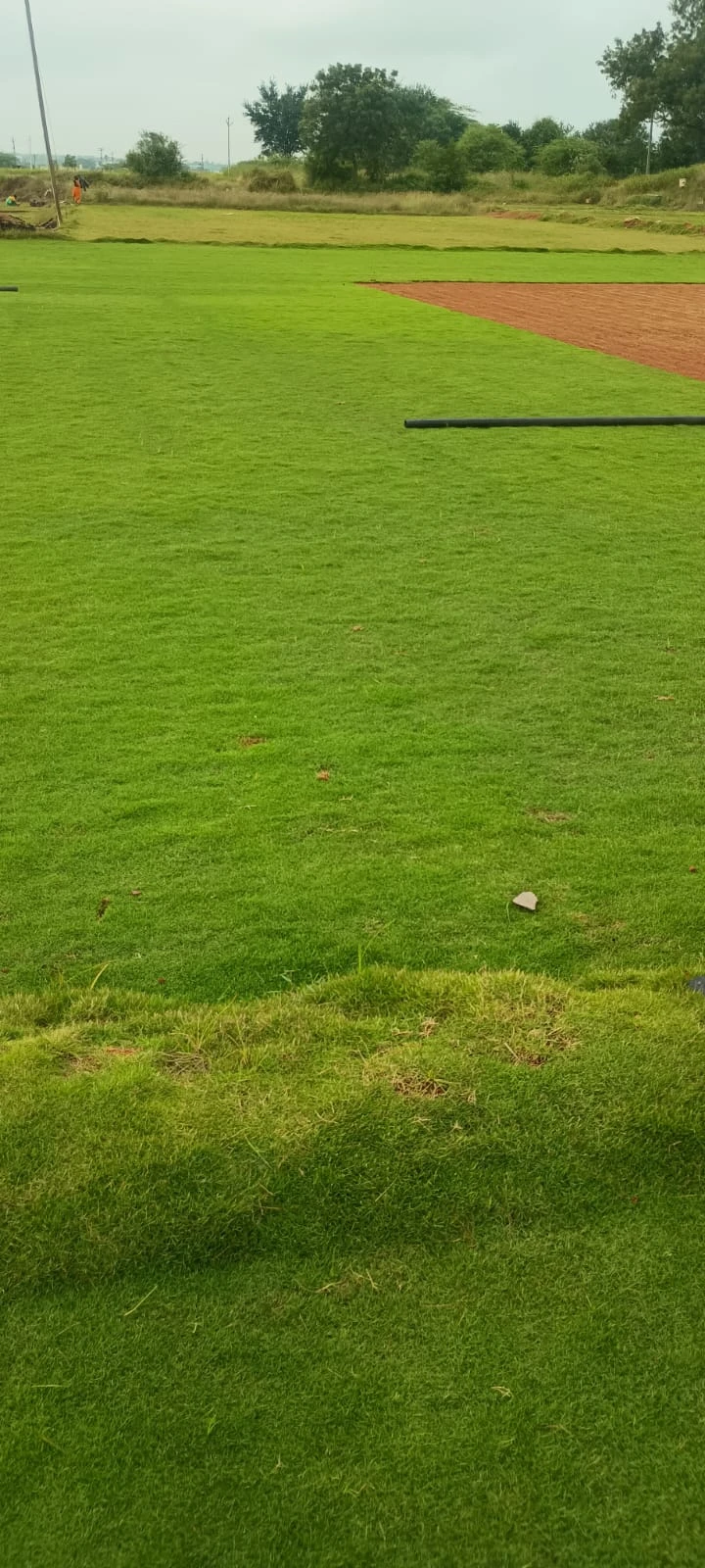 image15