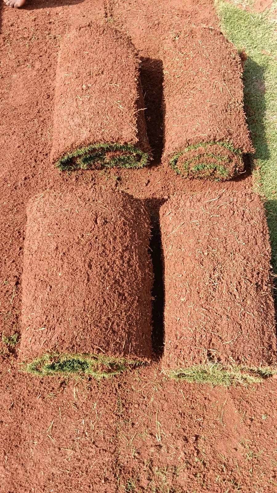 image1