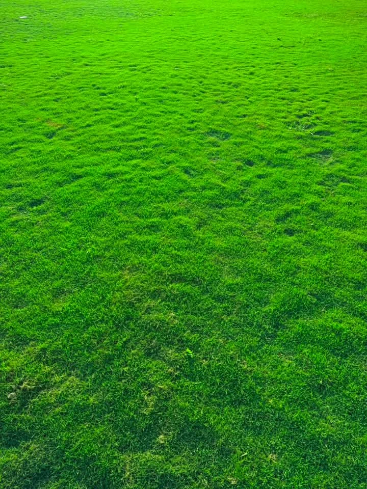 image50