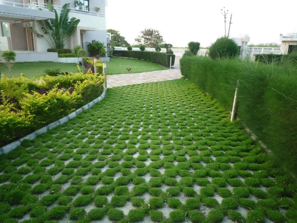 Beautiful landscaped lawn